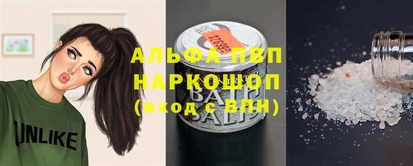 амф Верхний Тагил