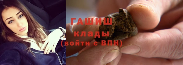 амф Верхний Тагил