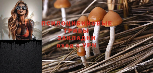 амф Верхний Тагил