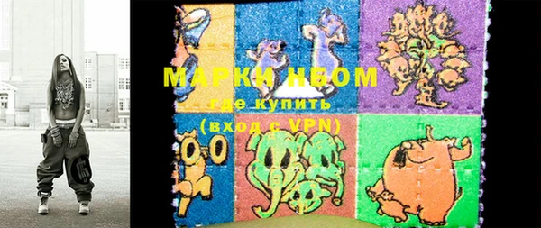 амф Верхний Тагил