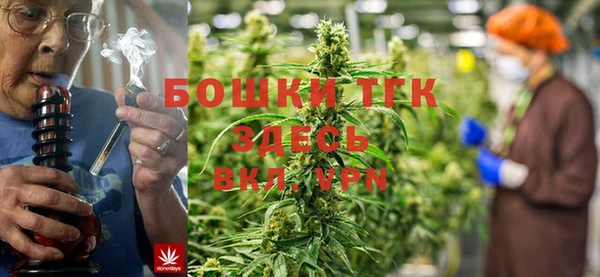 дурь Верея