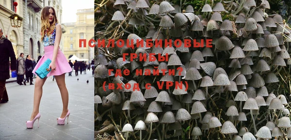 дурь Верея
