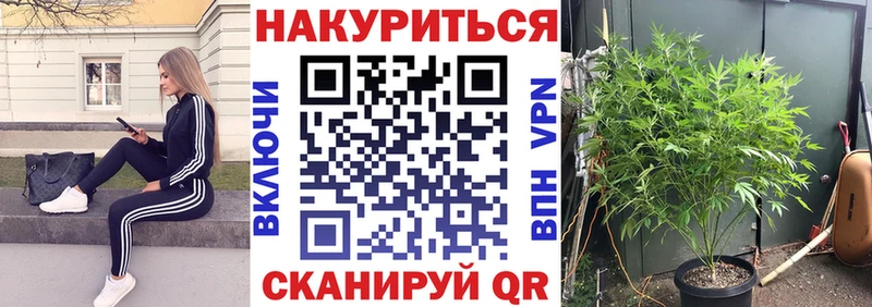 Бошки Шишки план  Купить закладки  Ростов 